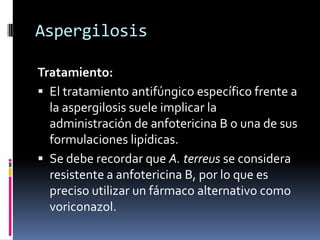 Aspergillosis  Types of Fungal Diseases  Fungal Diseases  CDC